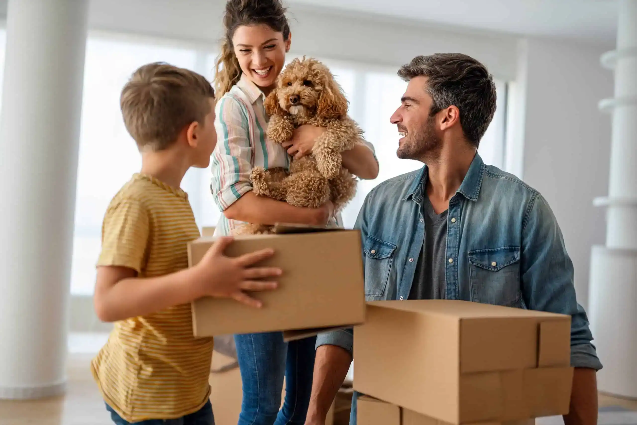 Homeowners Insurance California